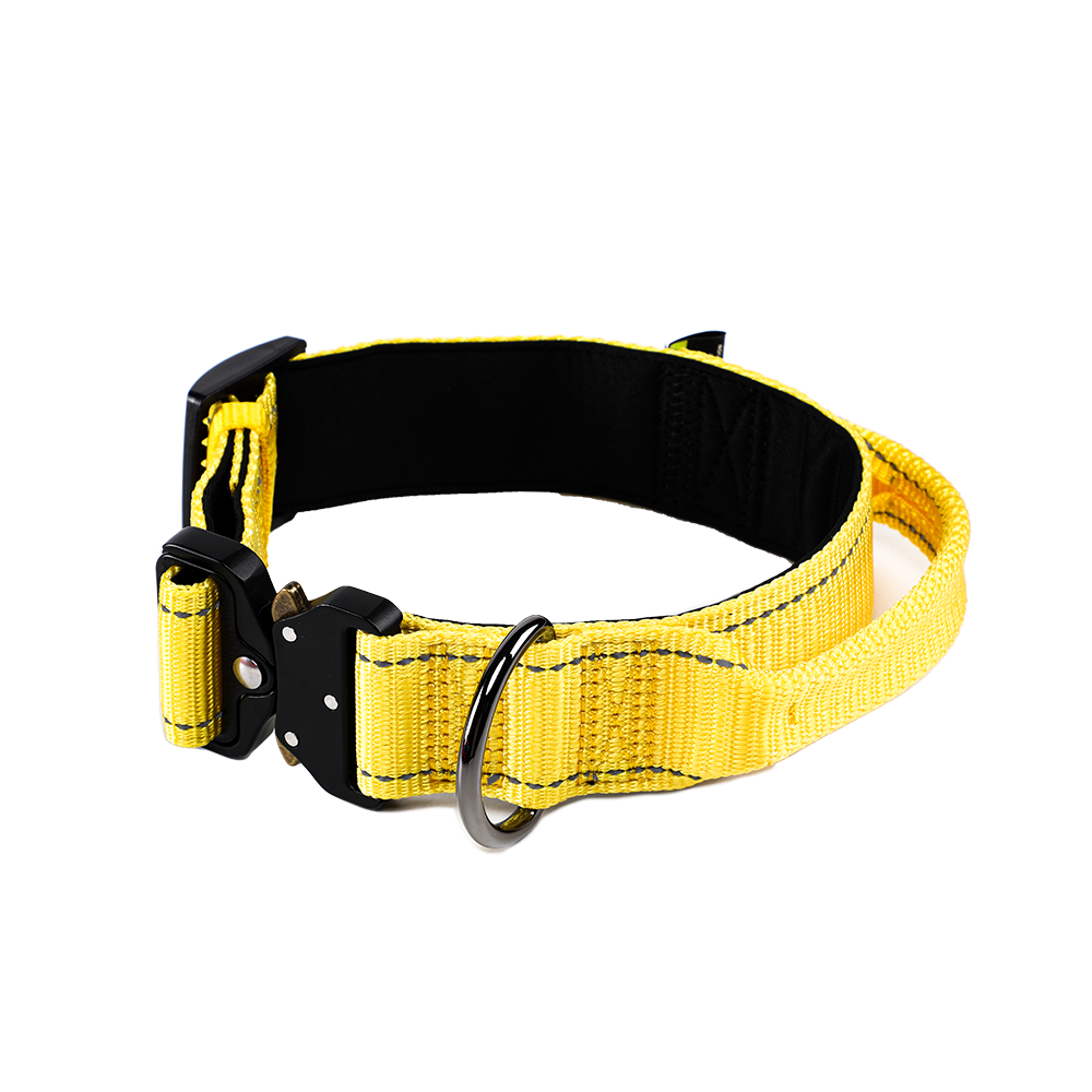 Collar for Dogs Nylon with Handle
